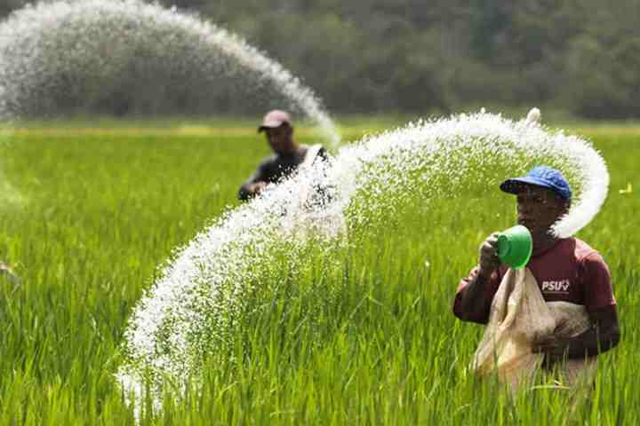Pemerintah Naikkan Subsidi Pupuk Untuk Sejahtera Petani